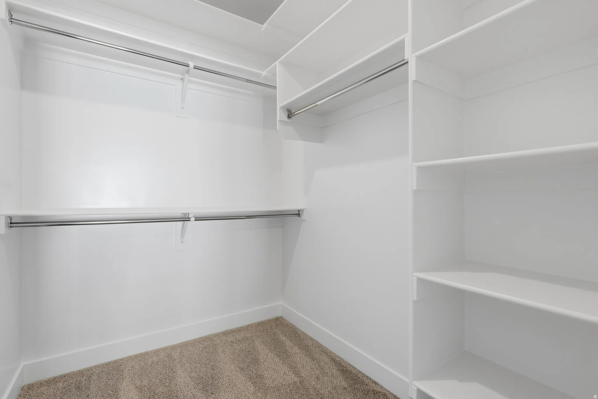 Walk in closet with carpet floors