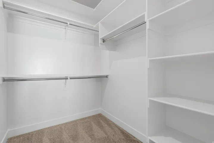 Walk in closet with carpet floors