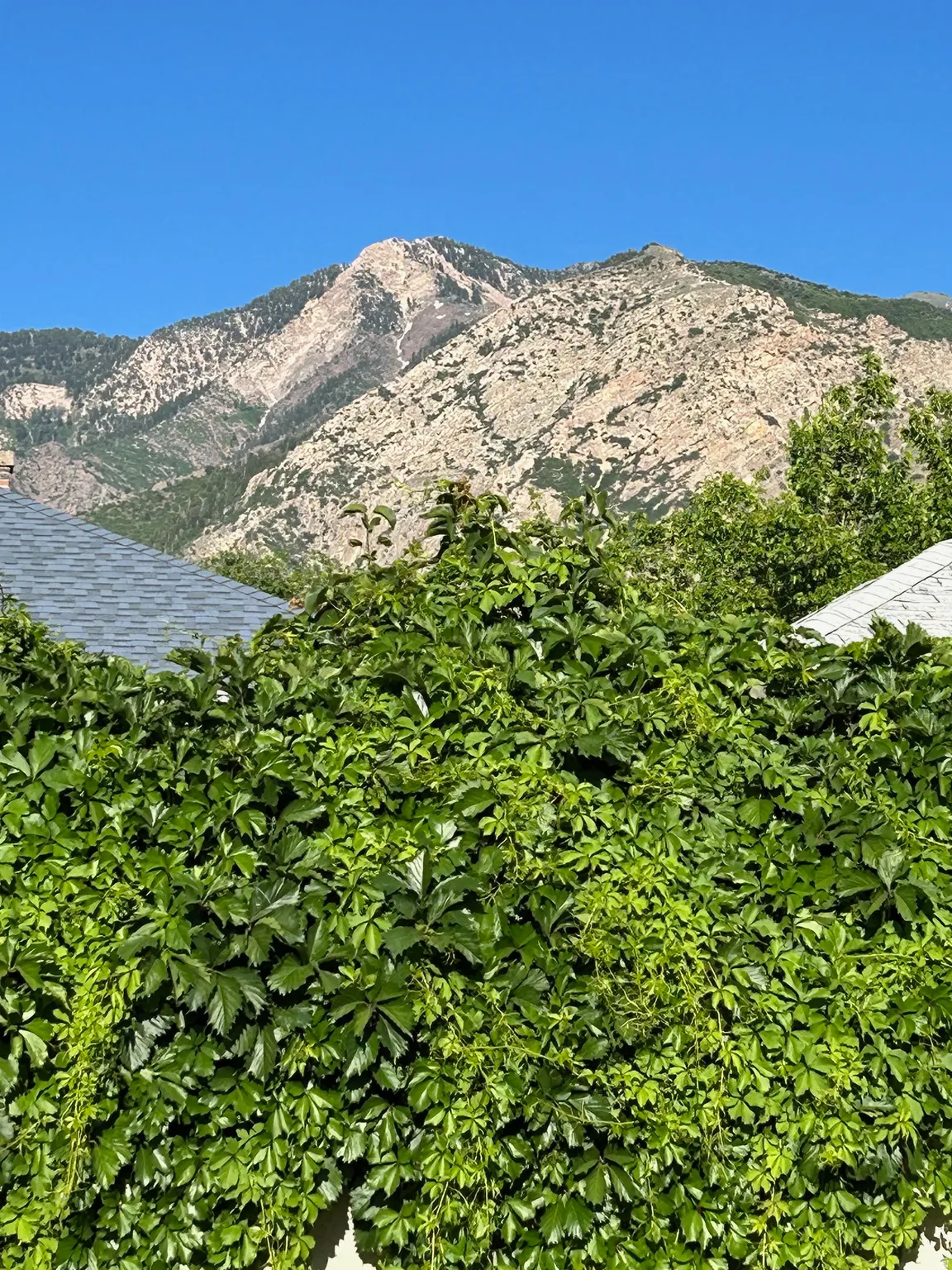 View of mountain backdrop