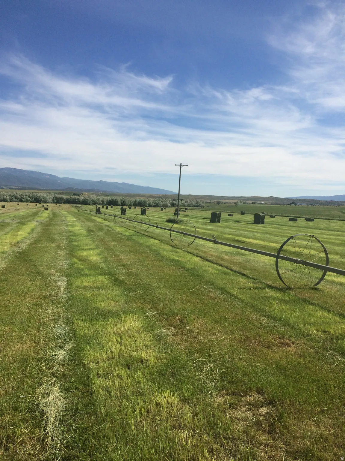View of grassy yard with a view of rural / pastoral area and a mountain view