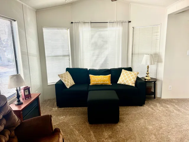Carpeted living area with lofted ceiling