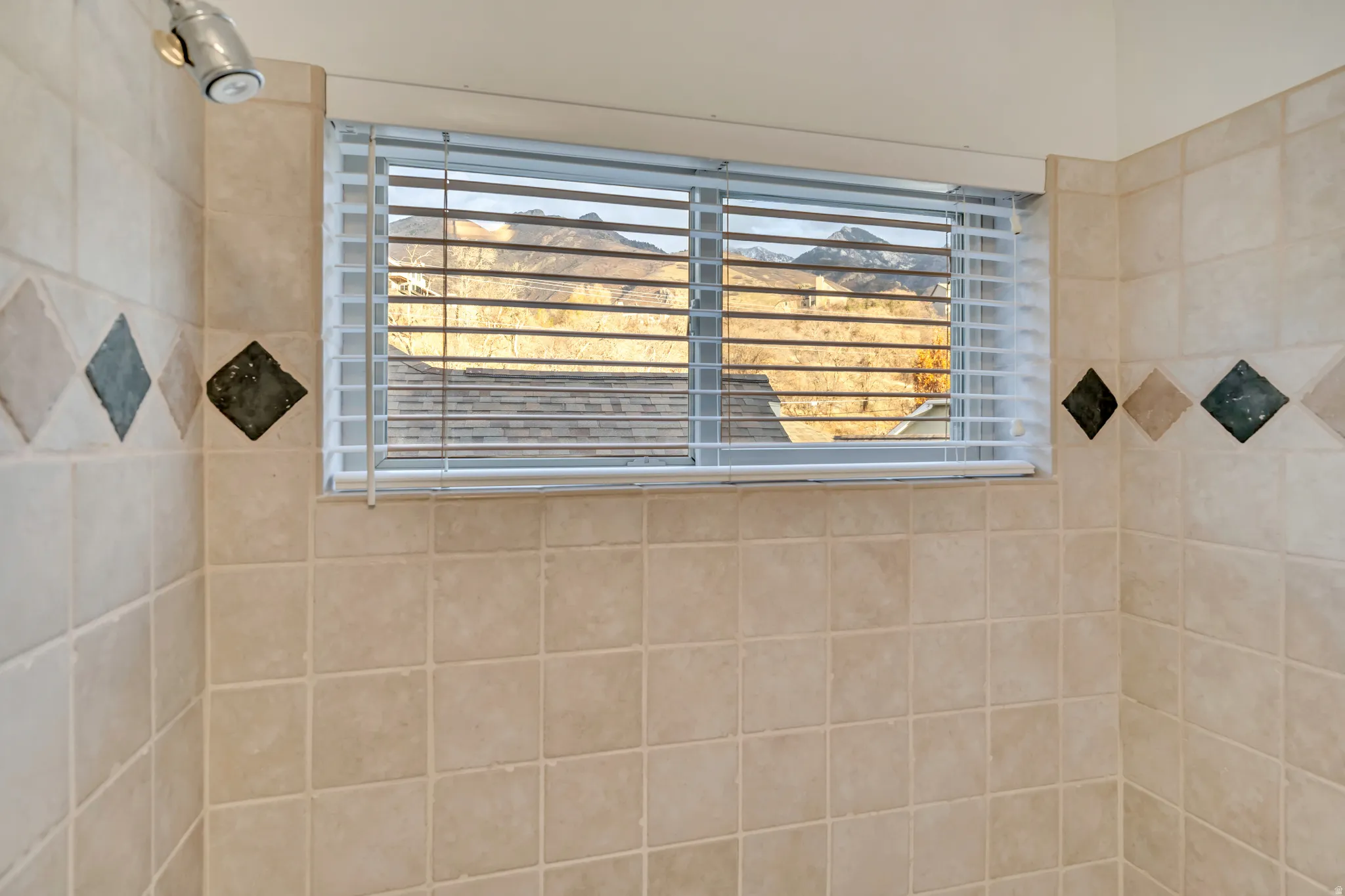 Shared shower with view in Jack-n-Jill bath.