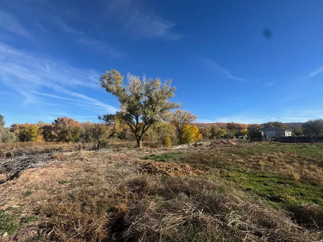 View of local wilderness with rural landscape