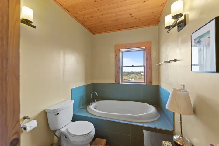 Bathroom with a garden tub and wood ceiling