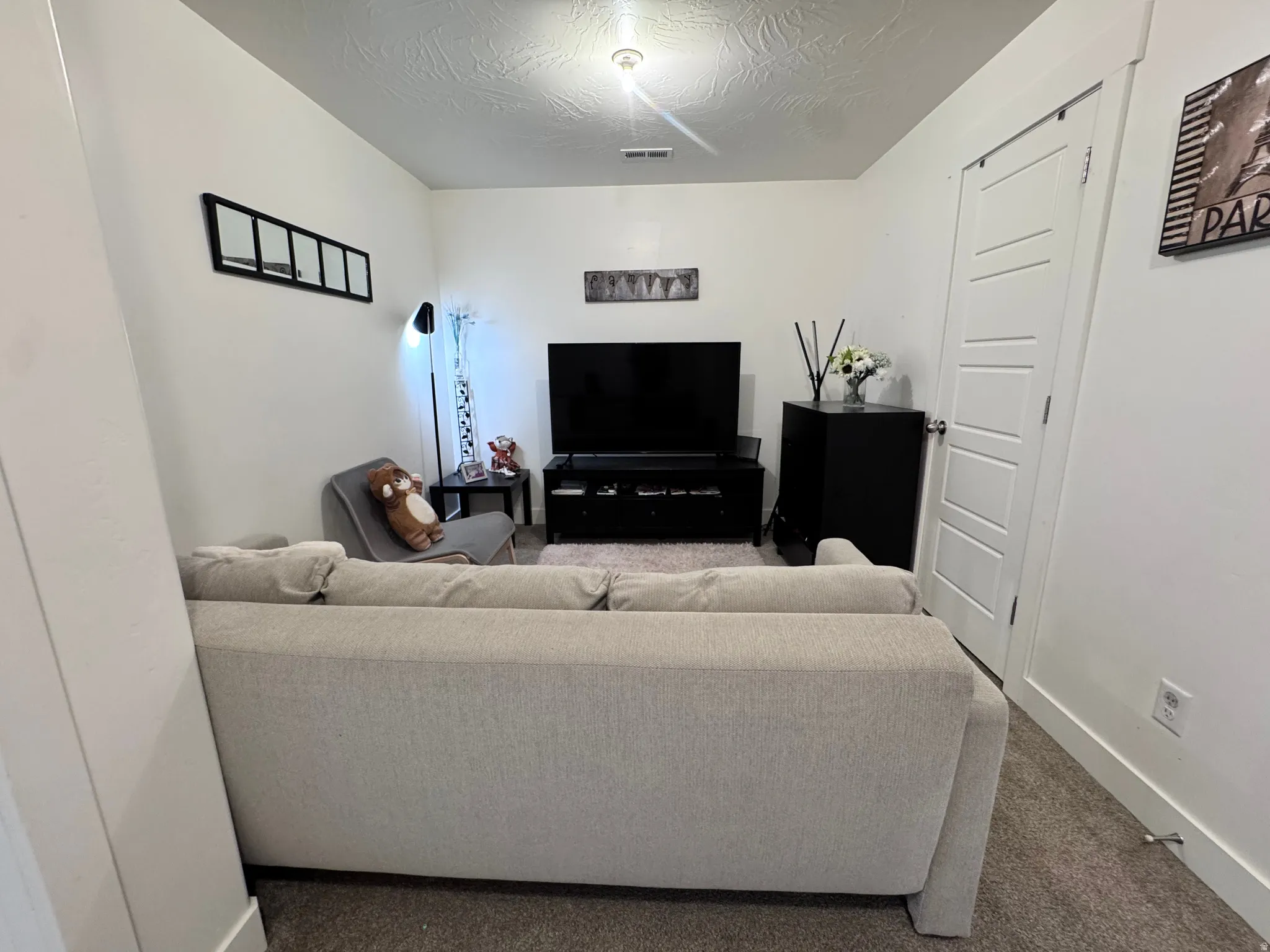 Living room featuring carpet floors and a textured ceiling