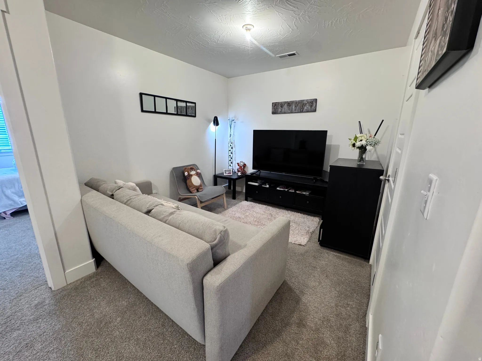 Living area with carpet flooring and a textured ceiling