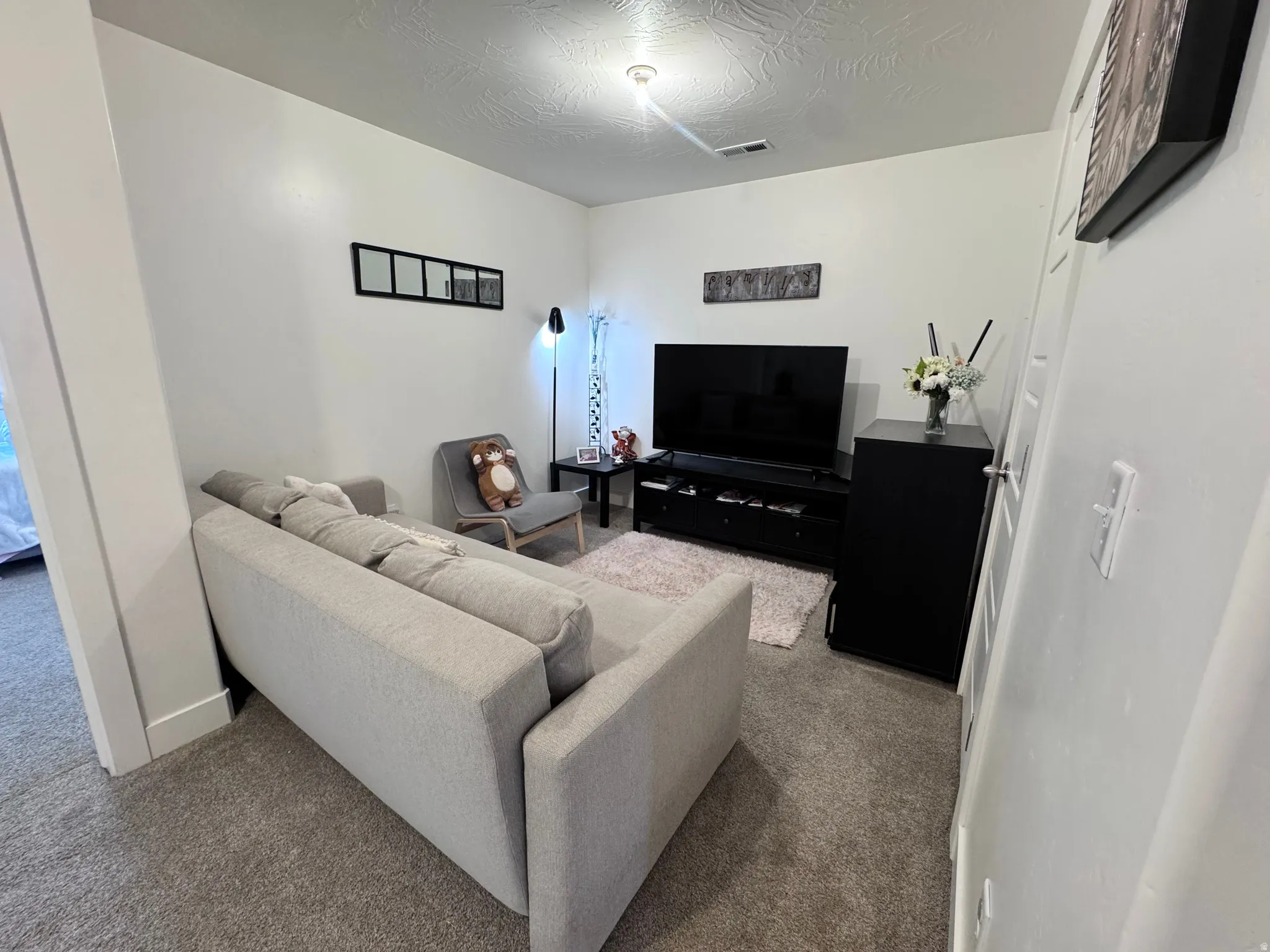 Living room featuring carpet floors and a textured ceiling