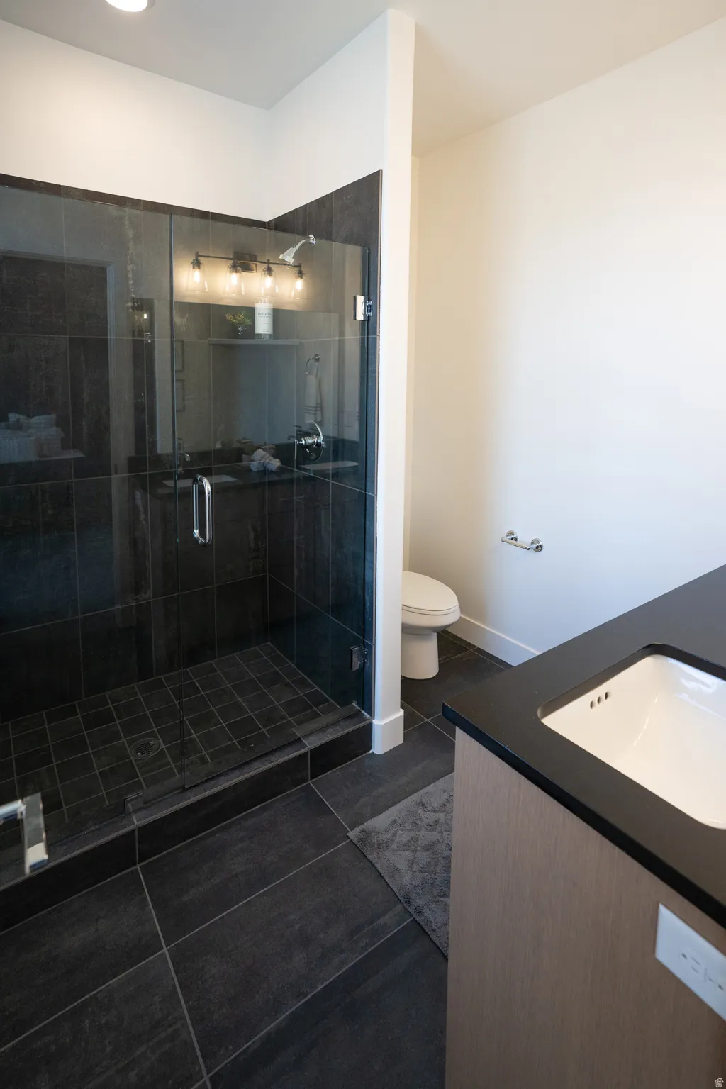 Full bathroom featuring vanity, dark tile patterned flooring, and a shower stall