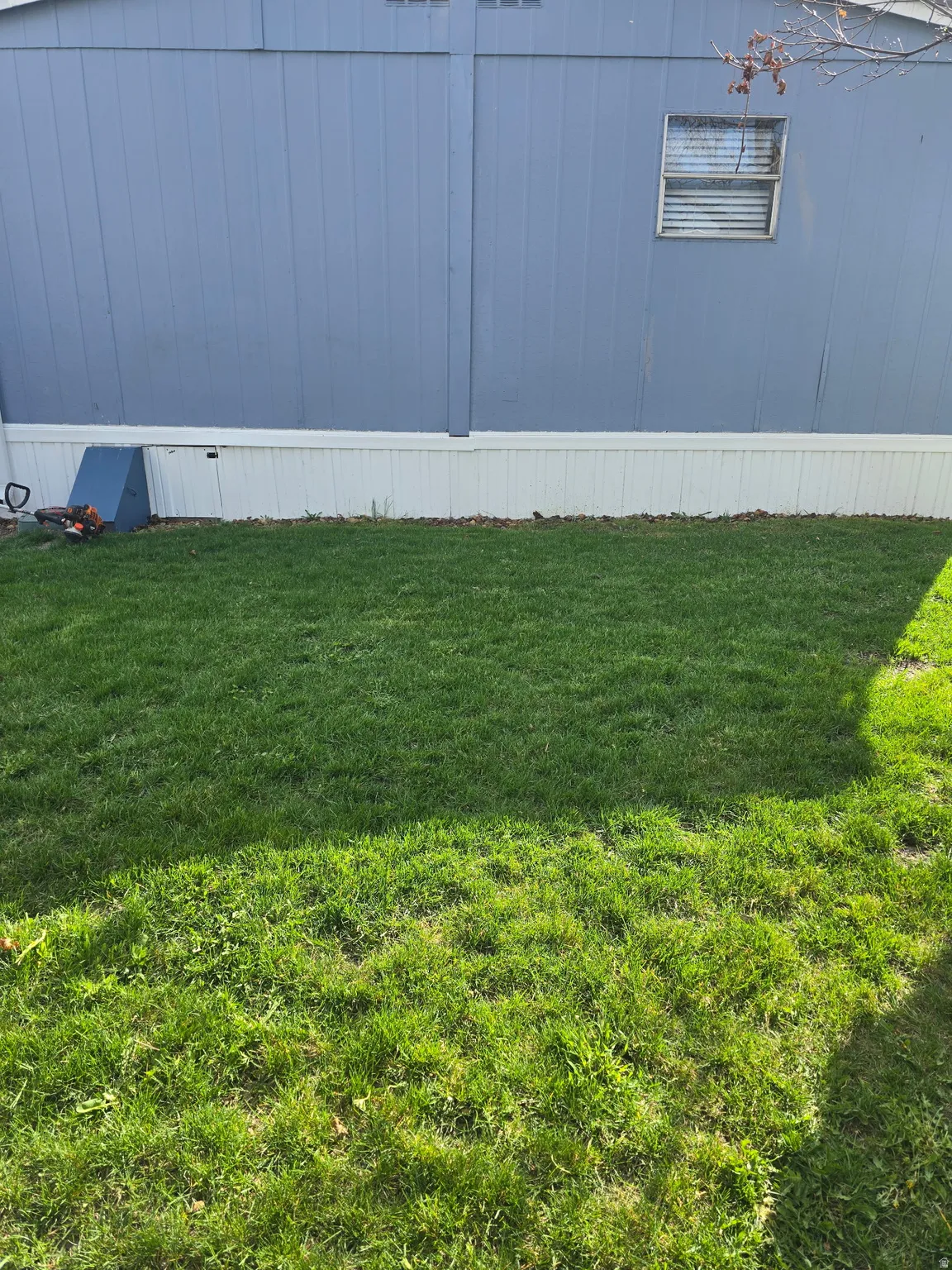View of green lawn