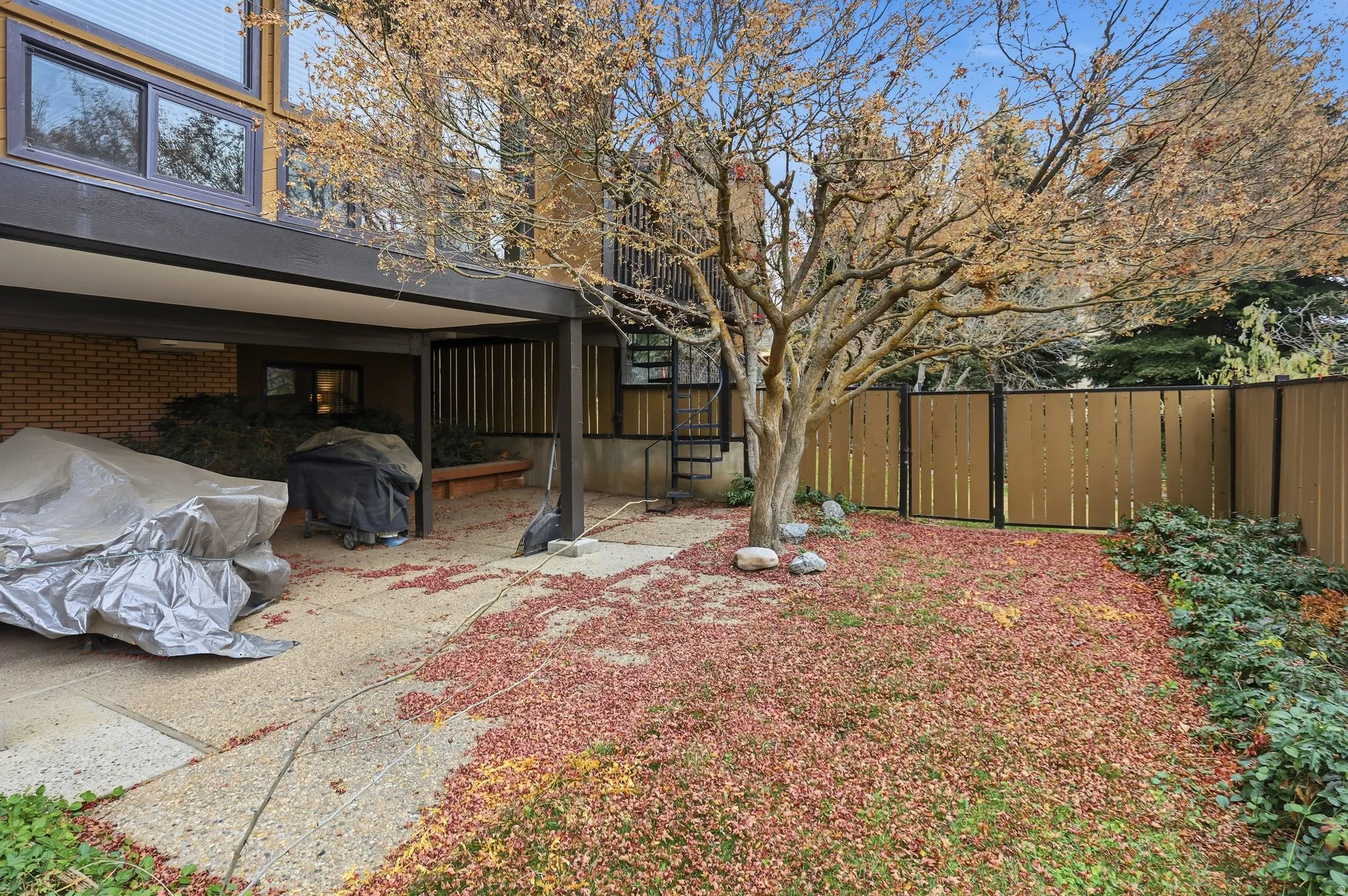 View of fenced backyard