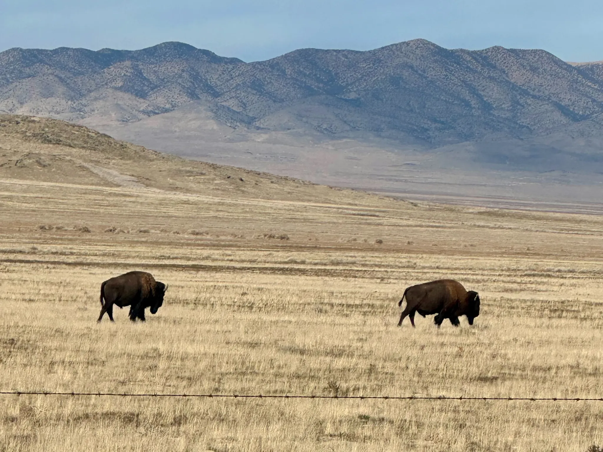View of mountain backdrop featuring a pastoral area and rural landscape