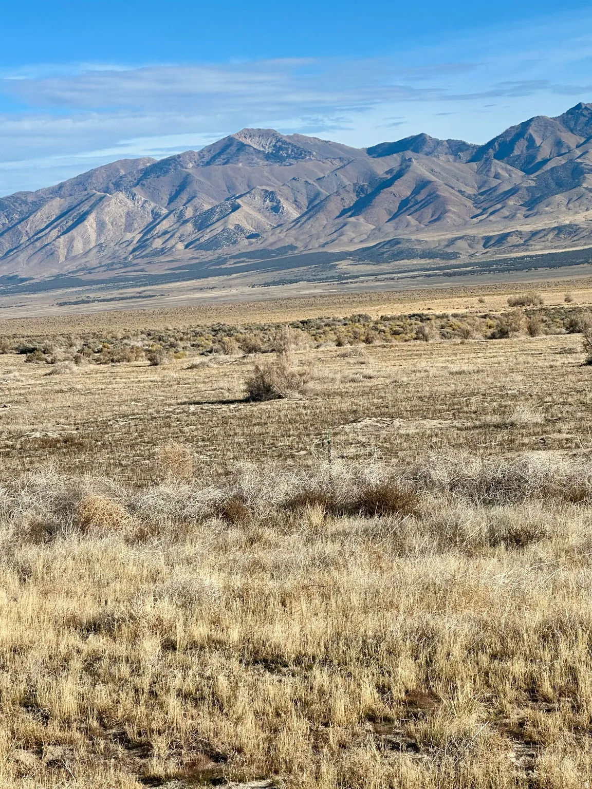 View of mountain background