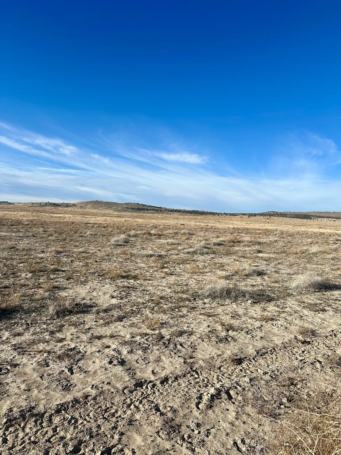 View of local wilderness featuring rural landscape