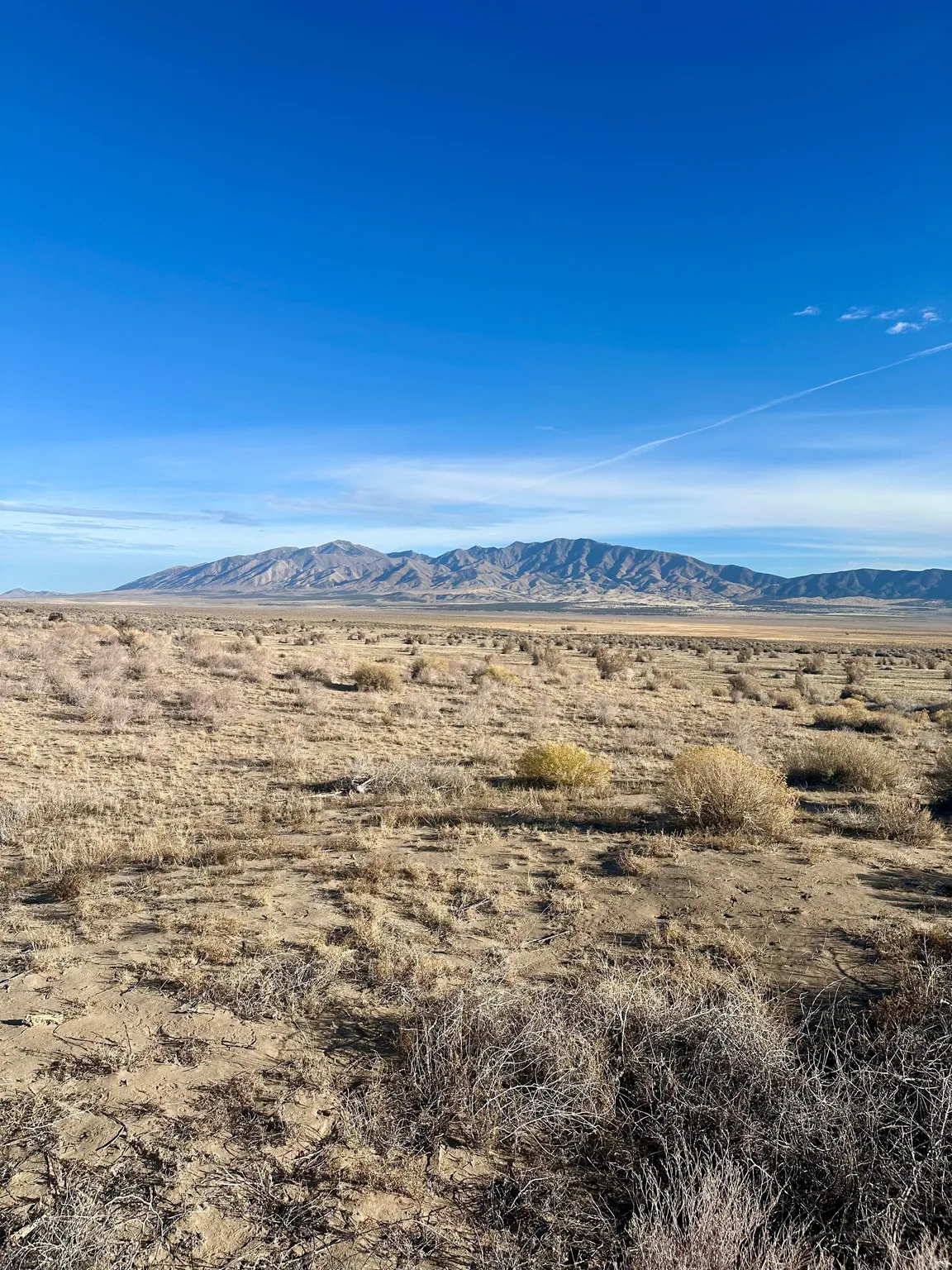 View of mountain background