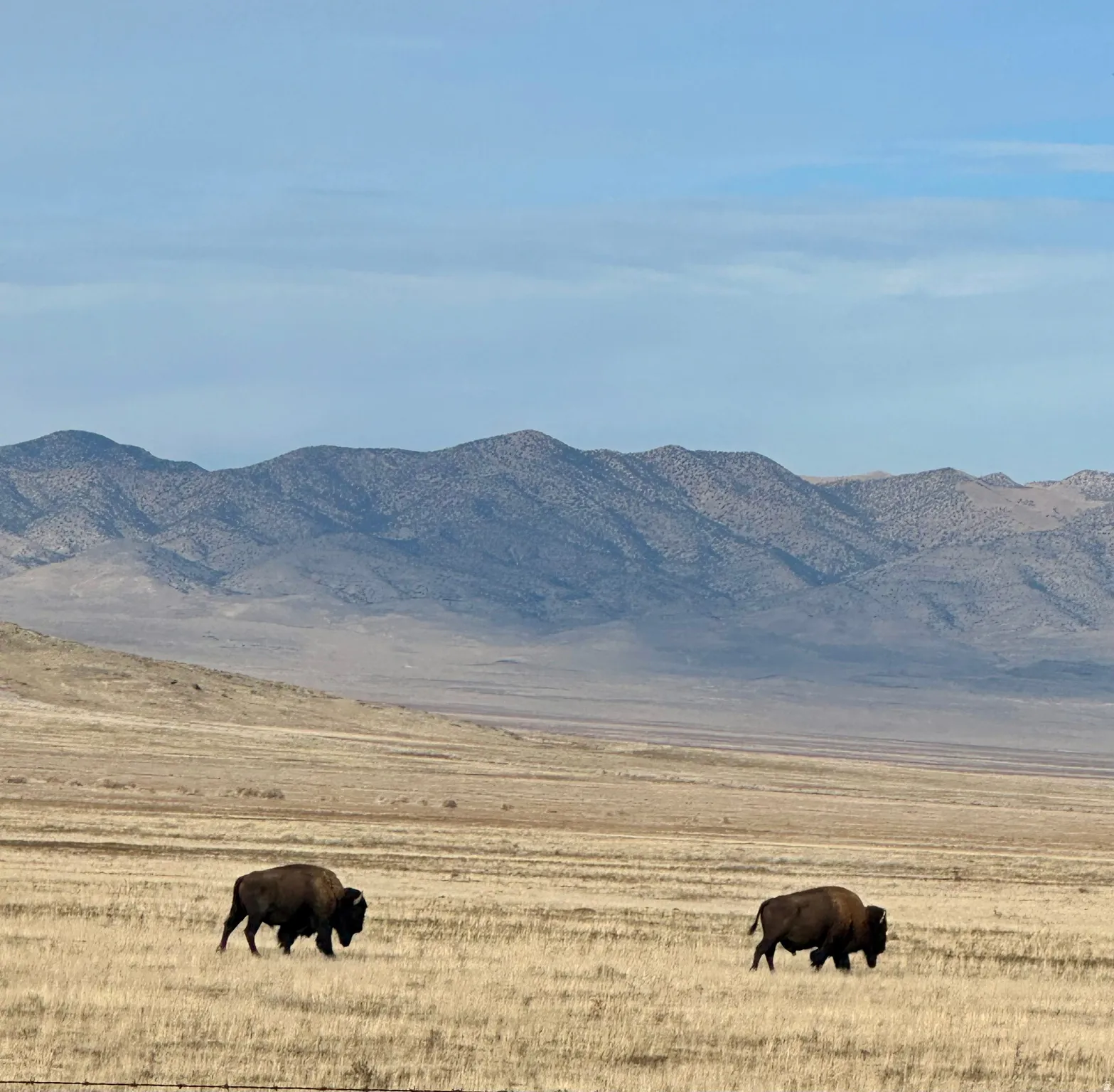 View of mountain backdrop featuring a pastoral area and rural landscape