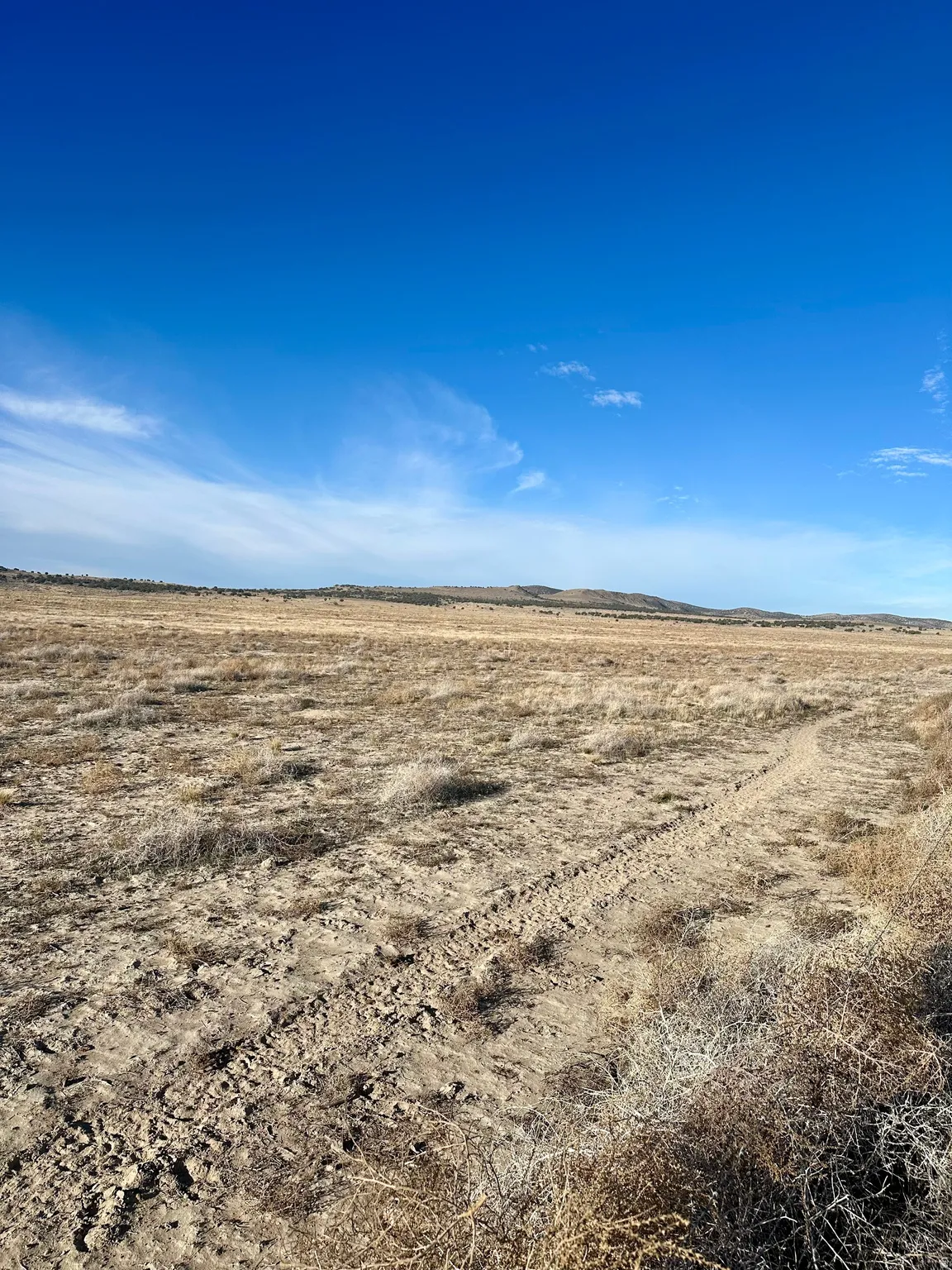 View of nature with rural landscape