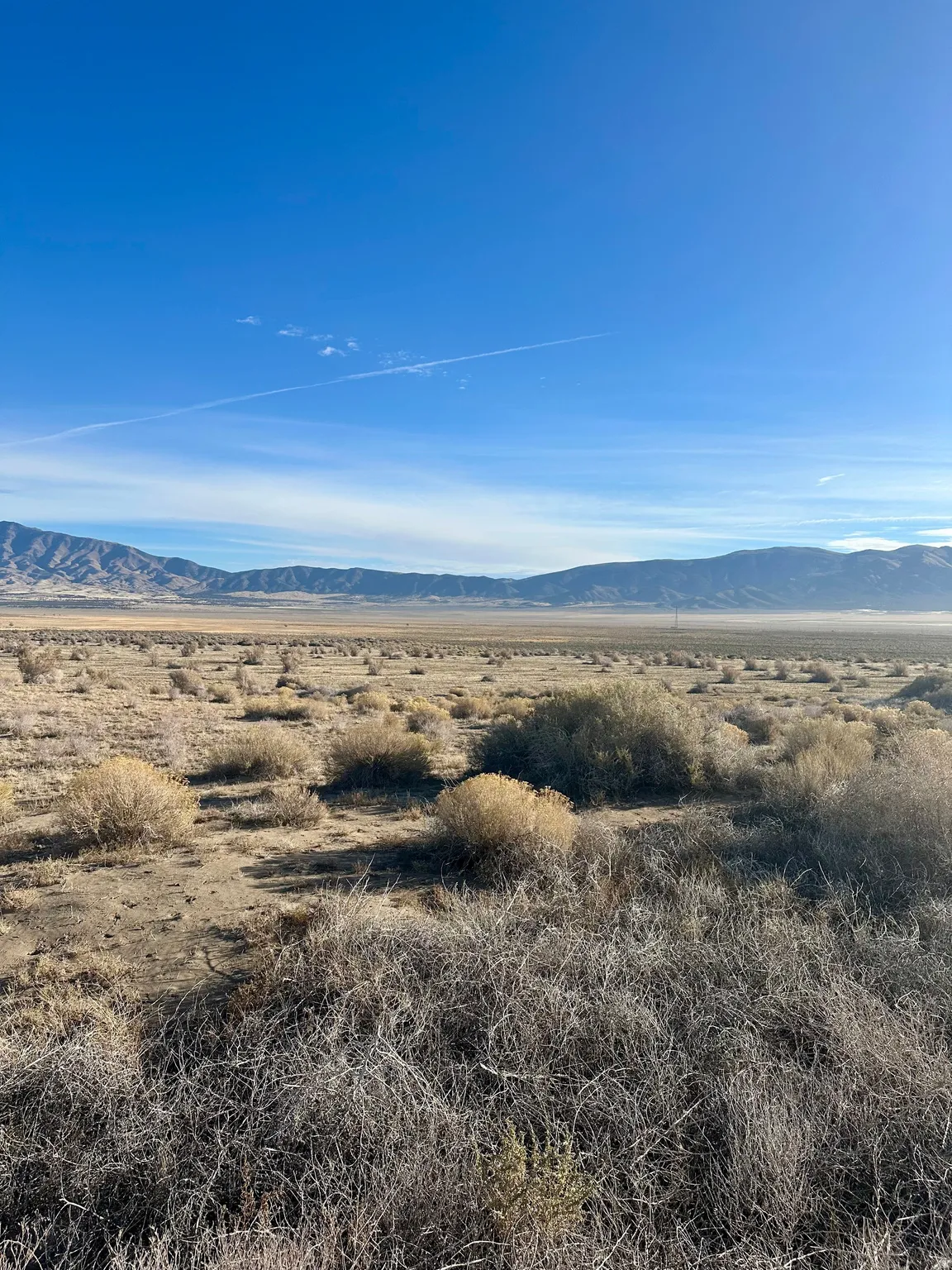 View of mountain backdrop with a desert landscape