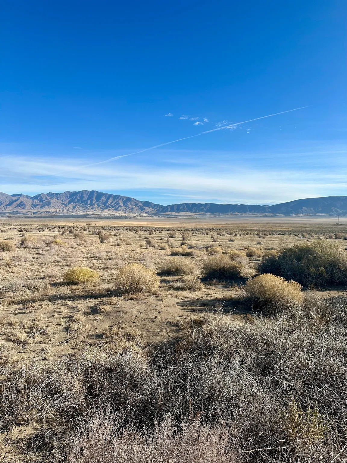 View of mountain backdrop featuring a desert landscape