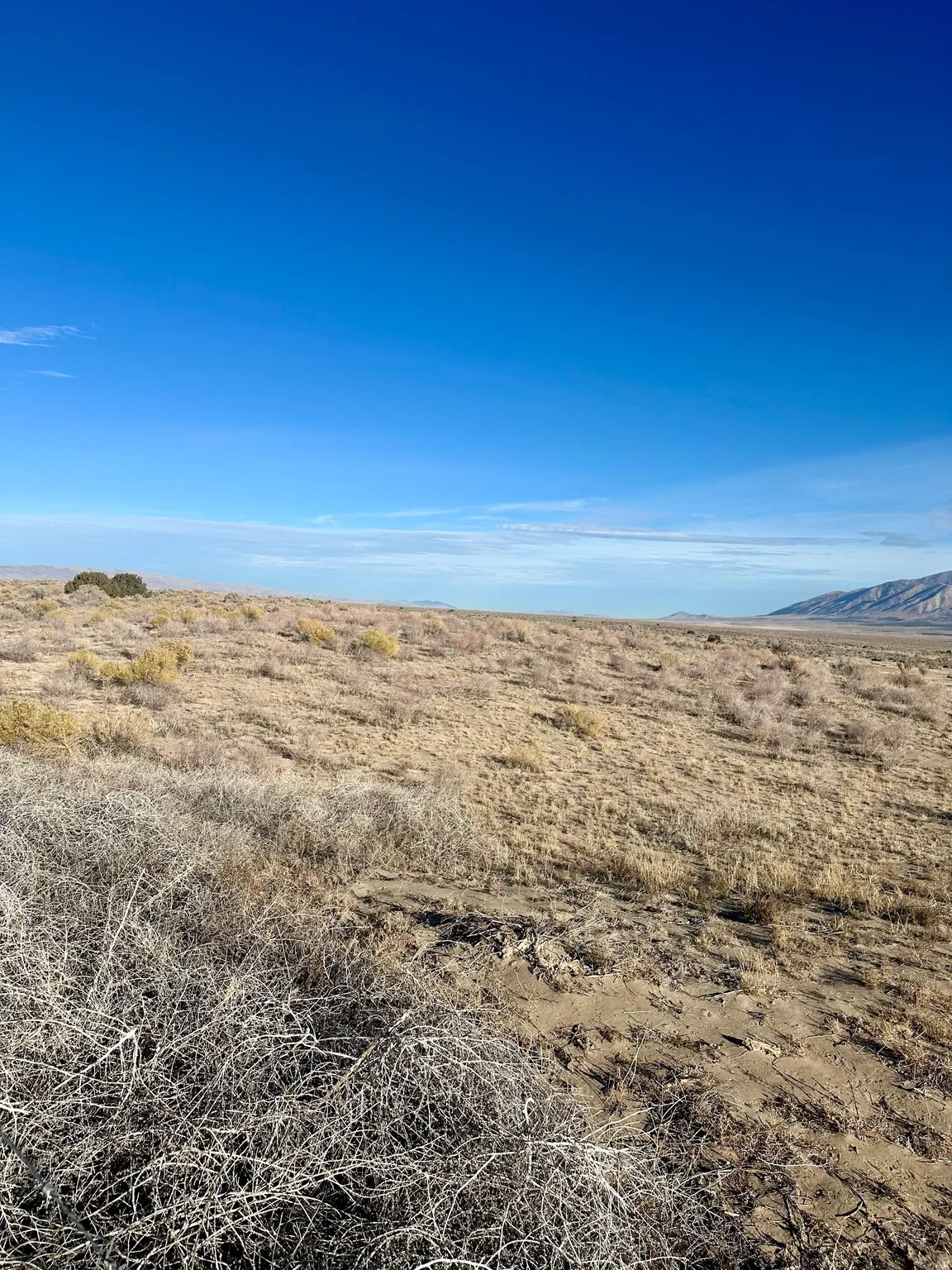 View of undeveloped land featuring rural landscape