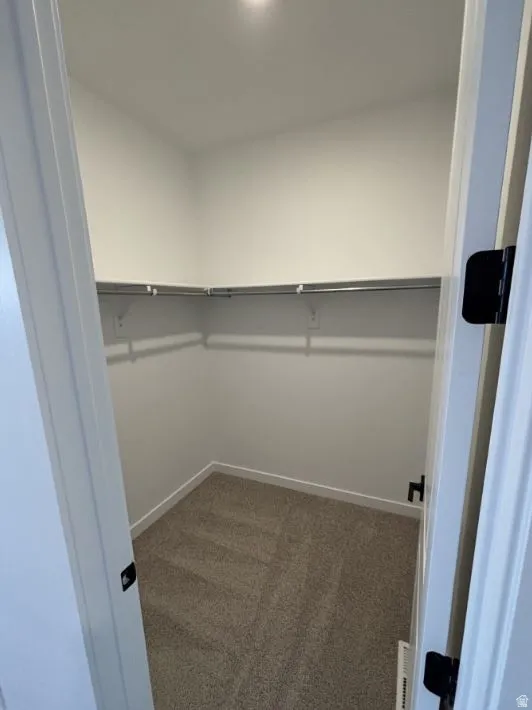 Spacious closet featuring light carpet