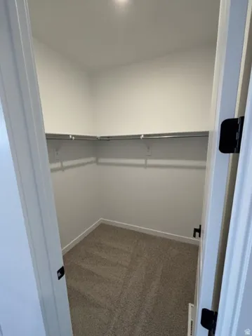 Spacious closet featuring light carpet