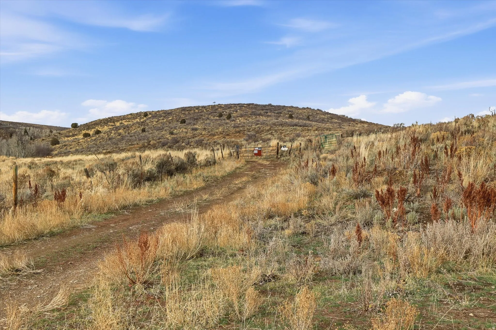 View of mountain background with rural landscape