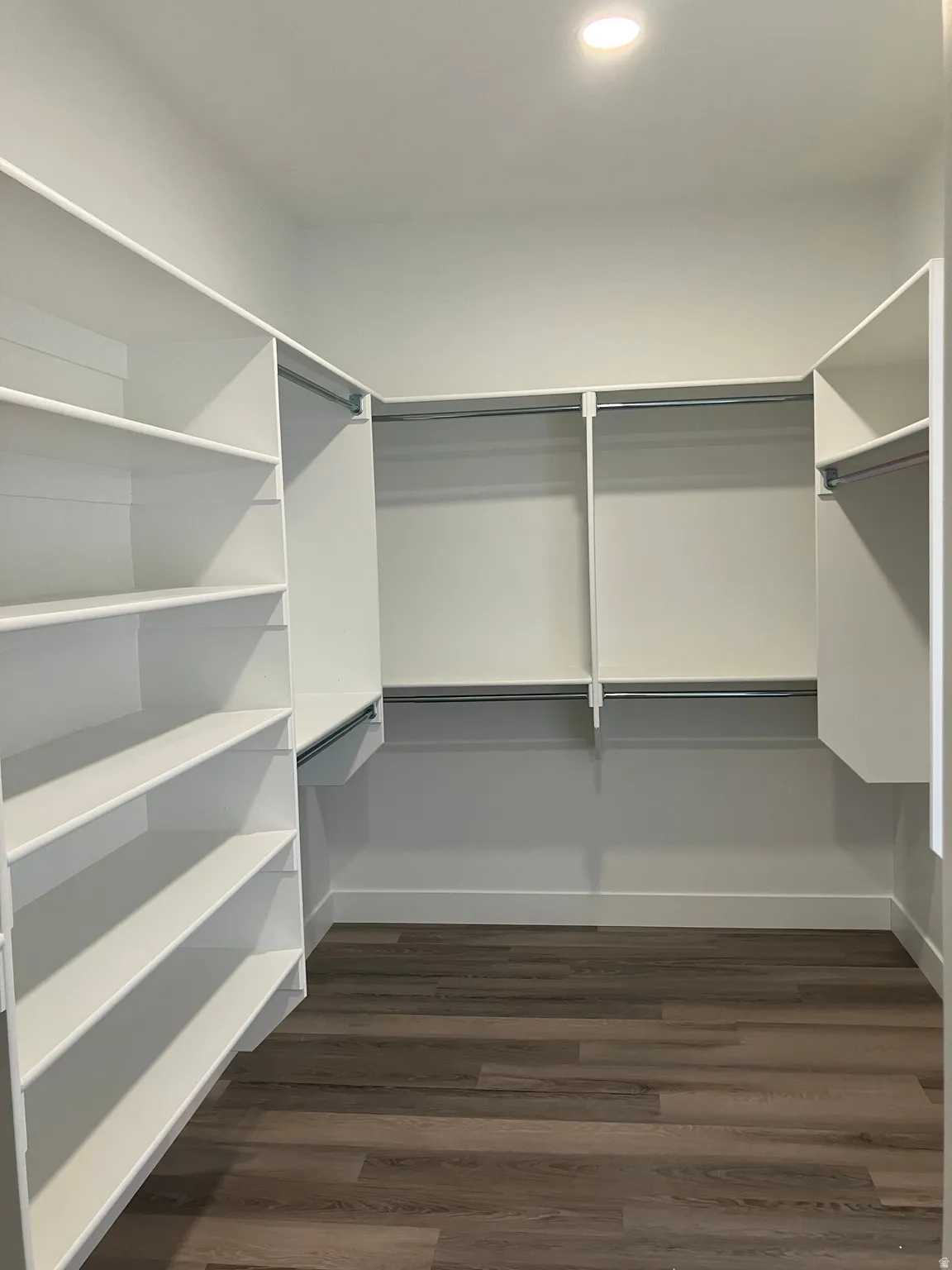 Walk-in closet with built-in shelving, hanging rods, and wood-finish flooring
