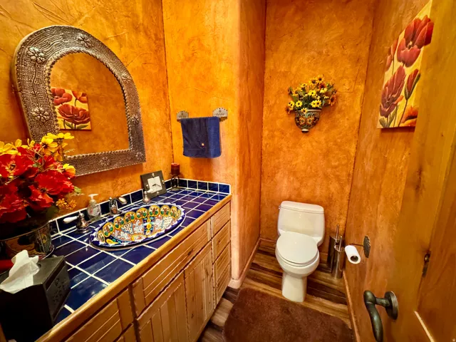 Bathroom featuring vanity and dark wood-style floors