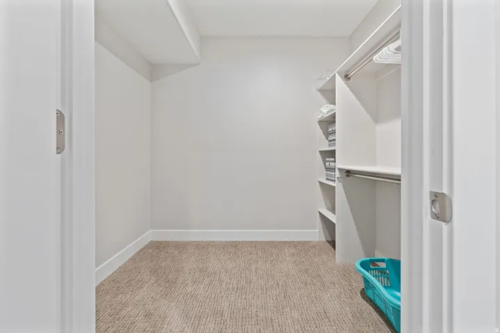Spacious closet featuring light colored carpet