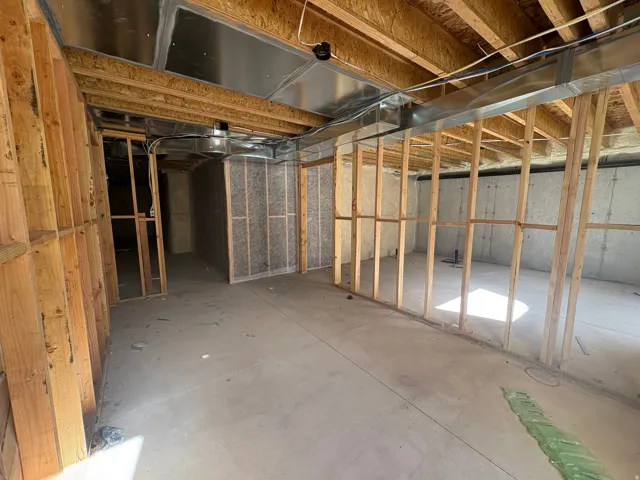 View of unfinished basement