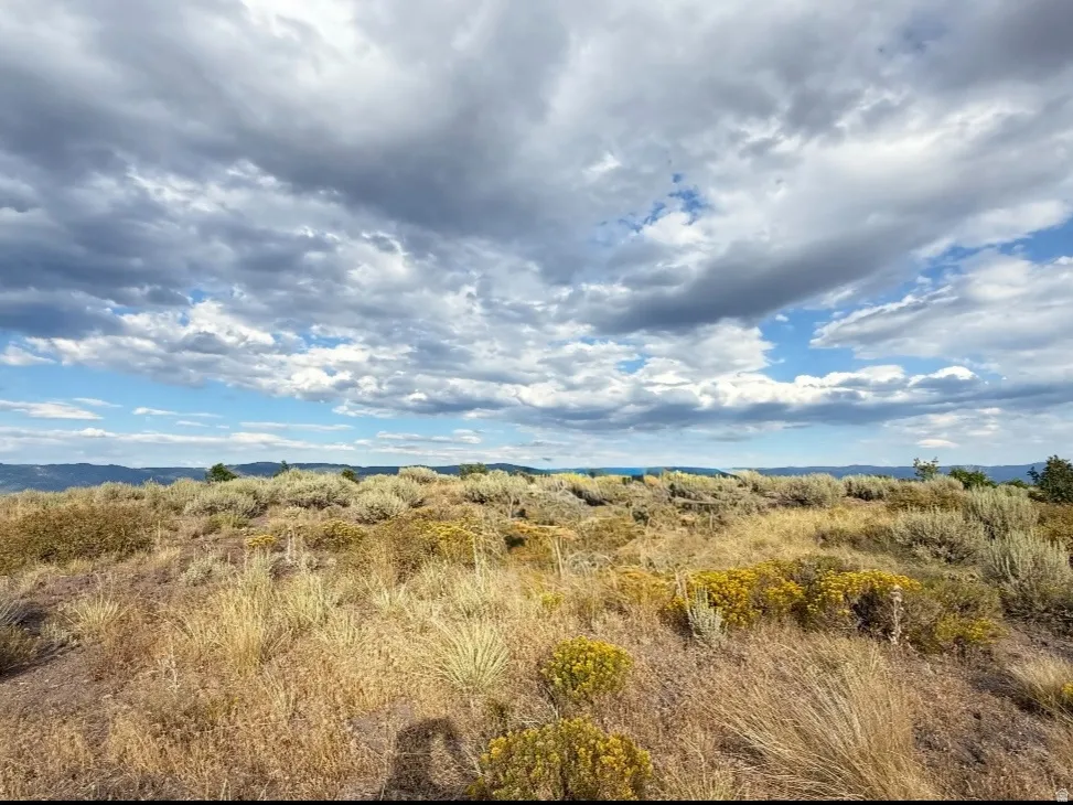 View of undeveloped land