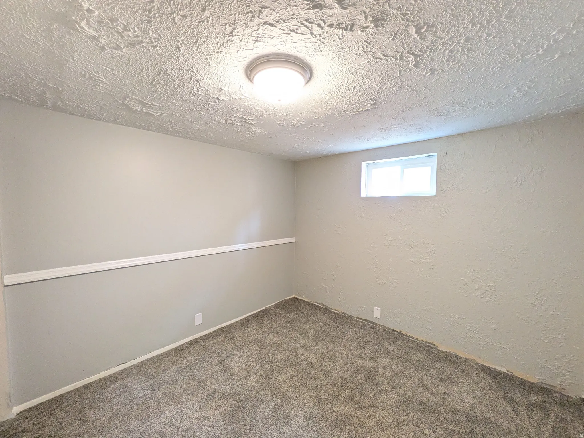 Basement featuring a textured wall, a textured ceiling, and carpet floors