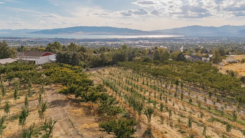 Mountain view with abundant farmland and rural landscape