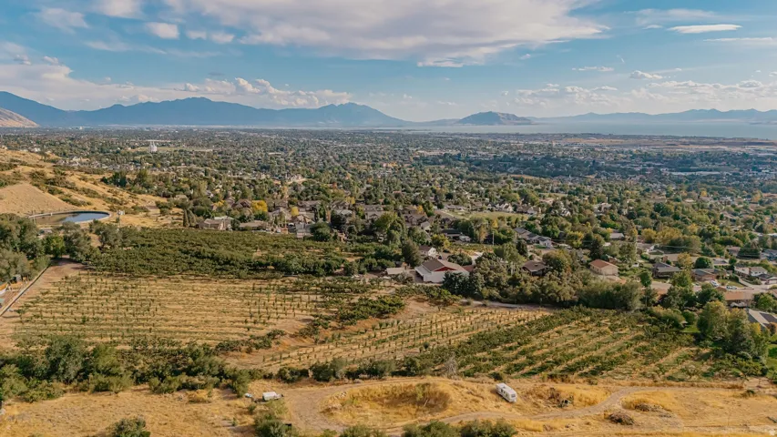 Mountain view with rows of crops and rural landscape