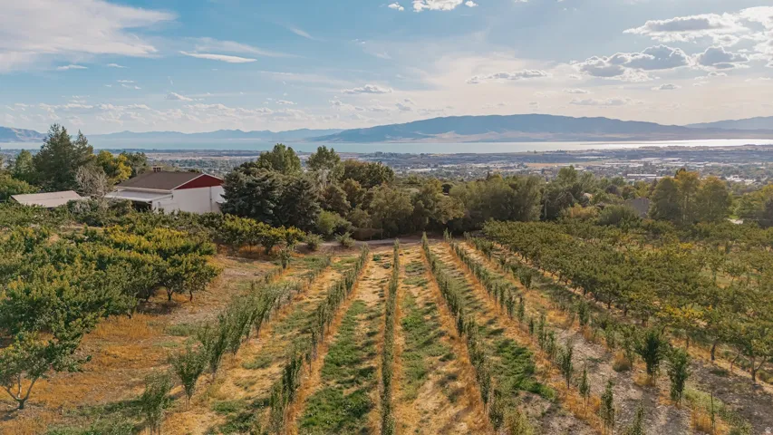 Mountain view with rows of crops and rural landscape