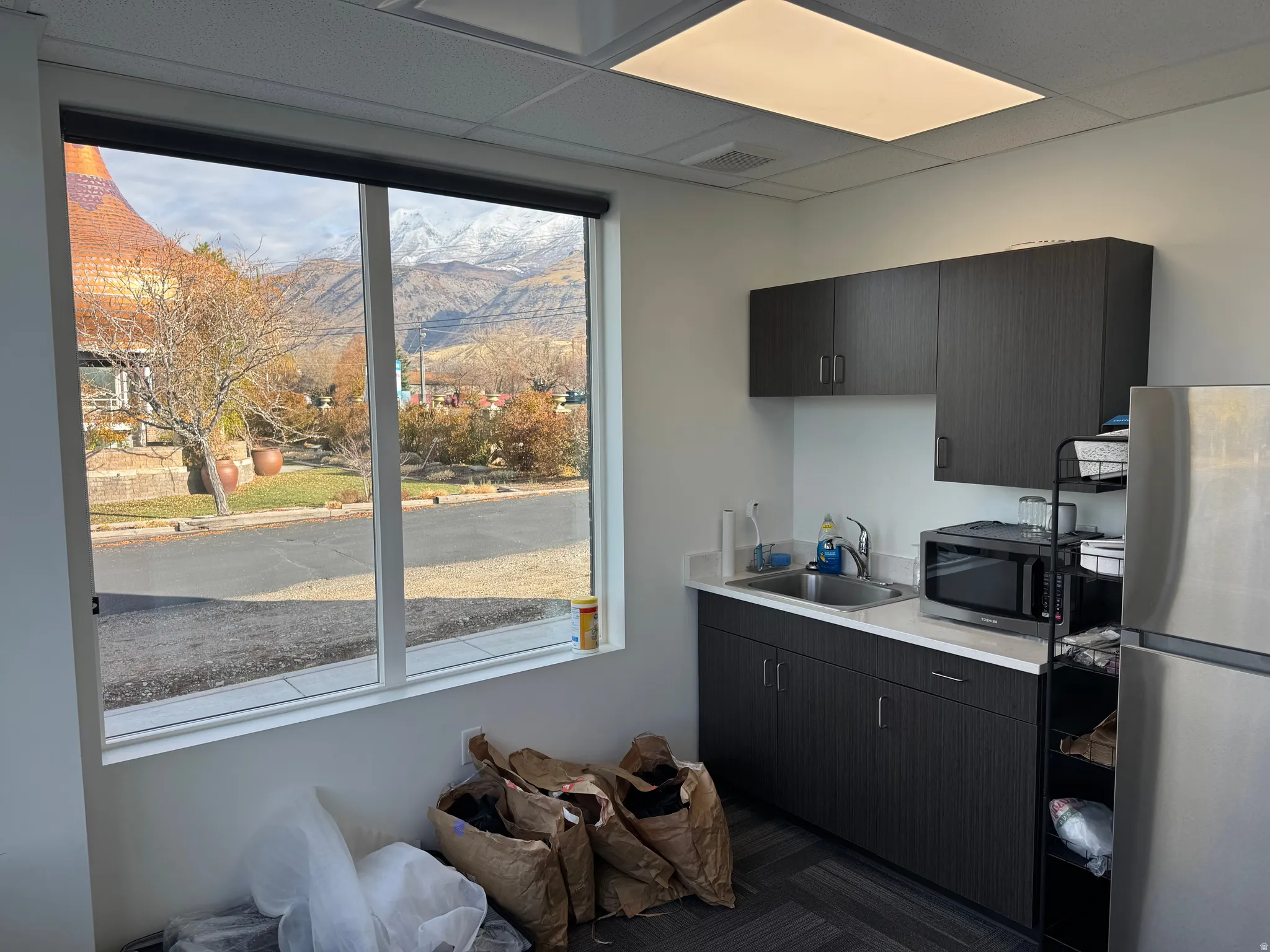 Kitchen featuring light countertops, appliances with stainless steel finishes, a mountain view, a paneled ceiling, and dark cabinetry