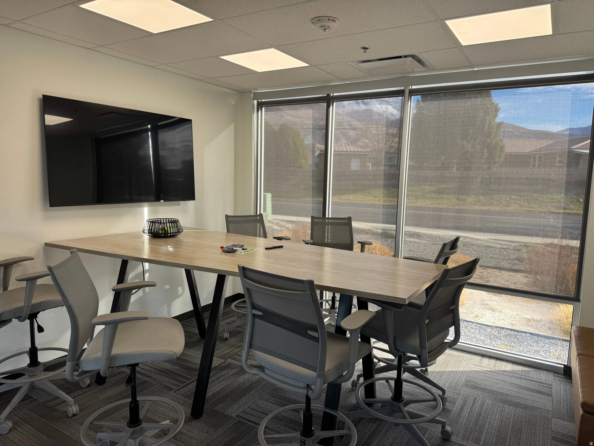 Office with a wall of windows, dark colored carpet, and a drop ceiling
