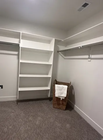 Walk in closet with dark colored carpet