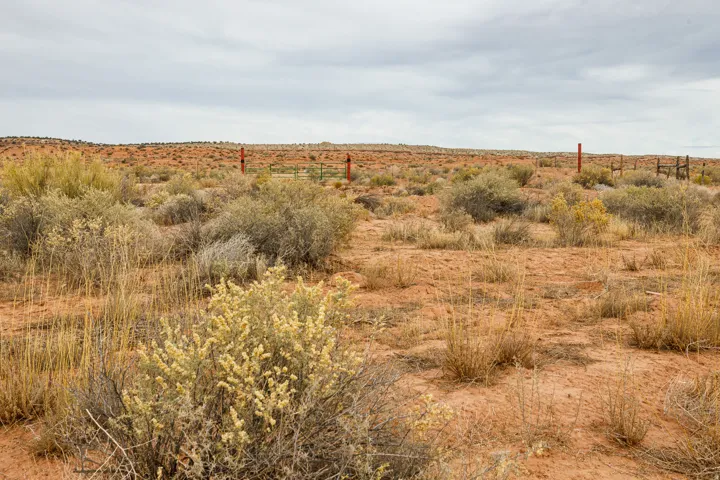 View of undeveloped land featuring rural landscape