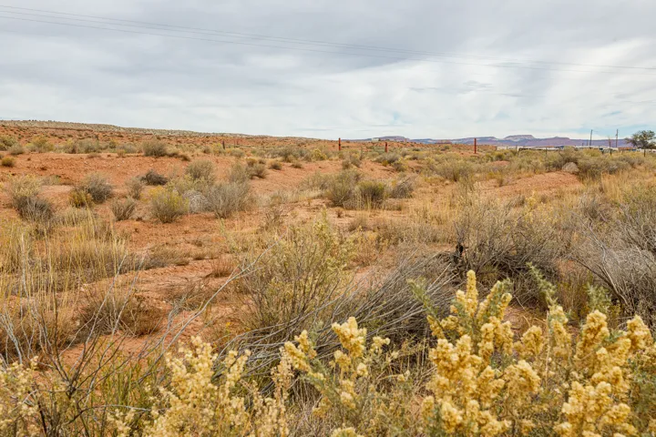 View of nature
