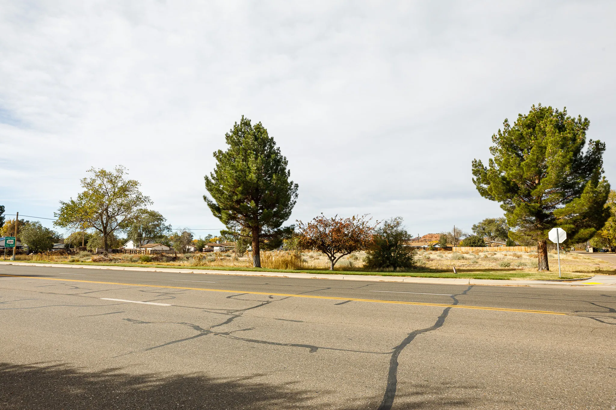 View of asphalt street with traffic signs and curbs