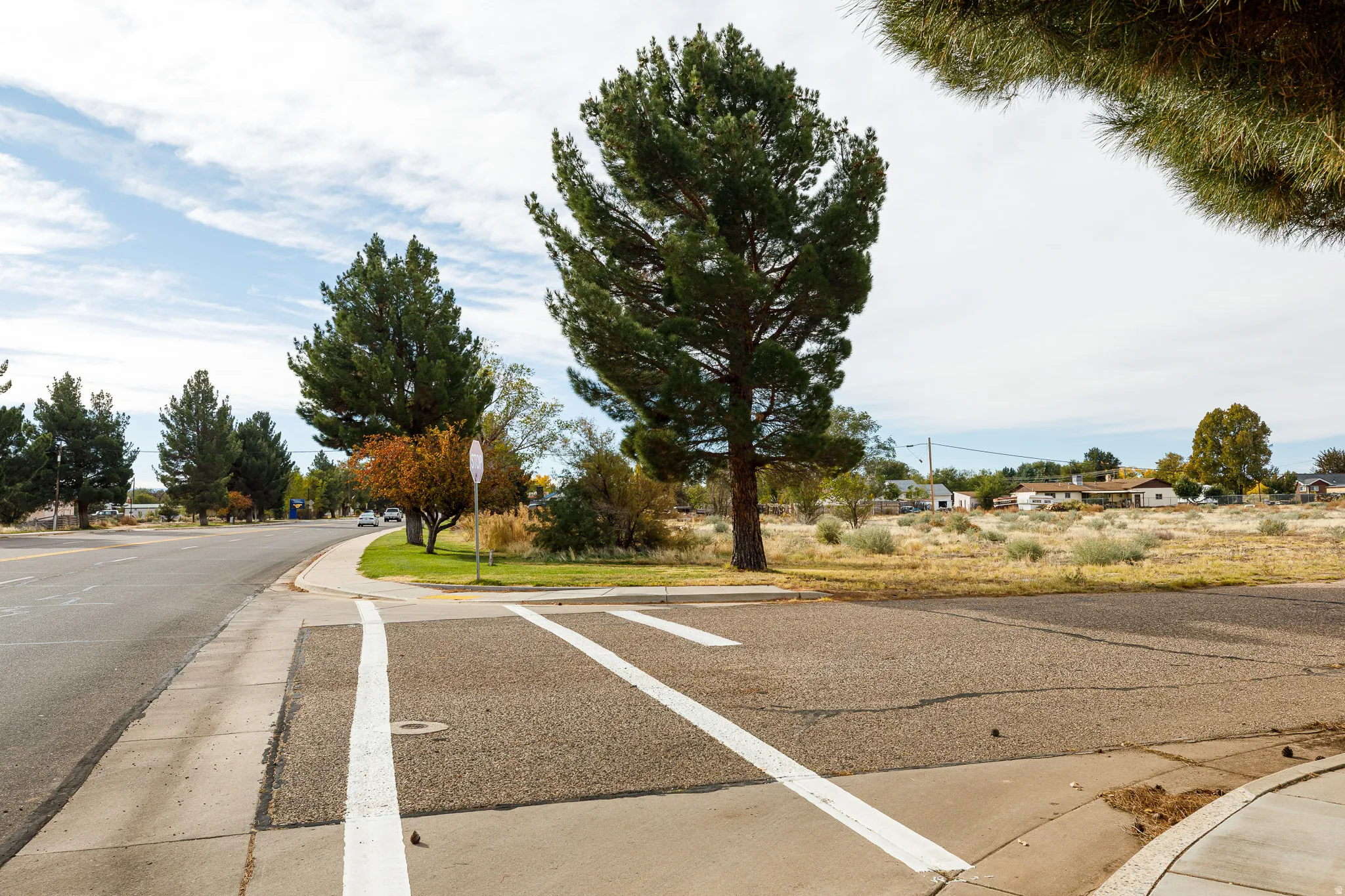View of asphalt road with sidewalks, curbs, and traffic signs