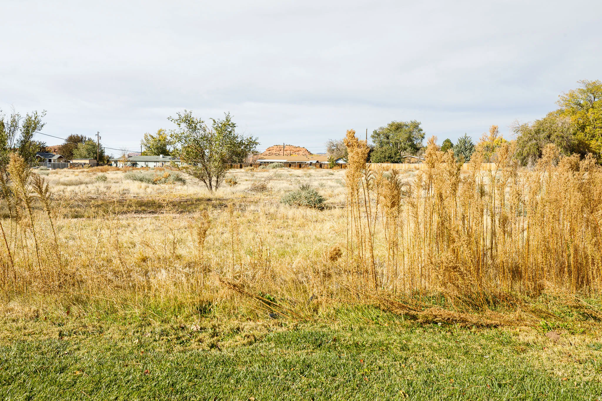 View of nature