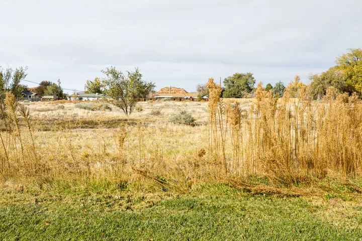 View of nature