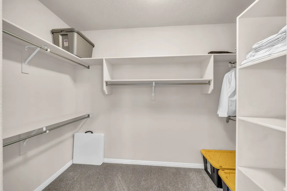 Walk in closet featuring light colored carpet
