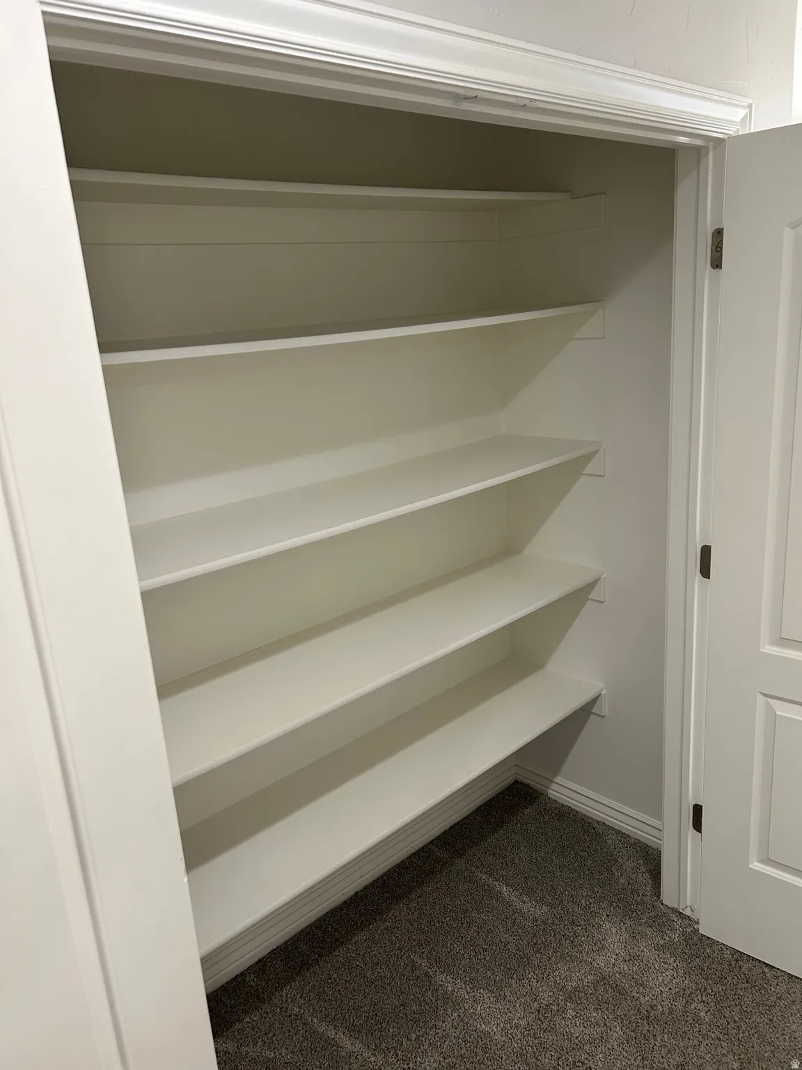 Large Hall Linen closet