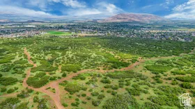 Drone / aerial view of a mountain backdrop