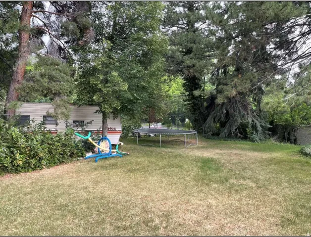View of green lawn featuring a trampoline