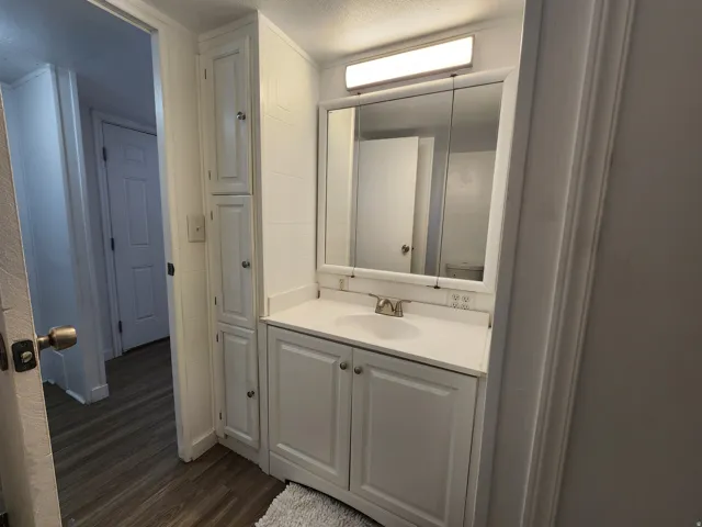 Bathroom with vanity, dark wood finished floors, and a textured ceiling
