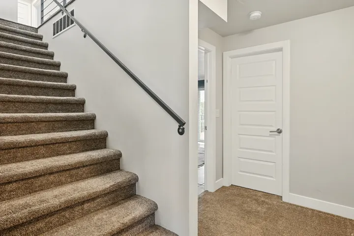 Stairs featuring carpet flooring and baseboards